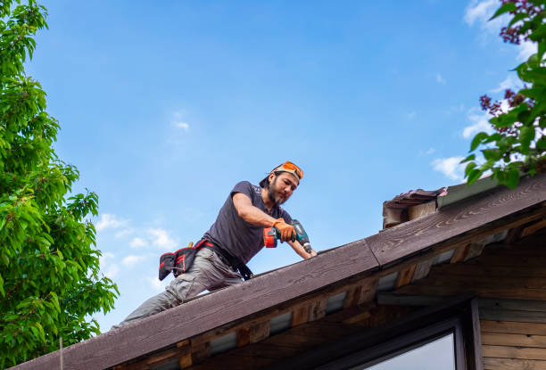 Best Roof Coating and Sealing  in Brown Deer, WI