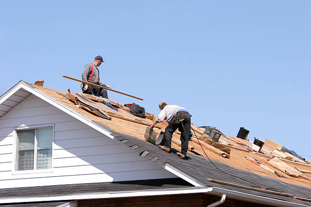 Best Roof Insulation Installation  in Brown Deer, WI